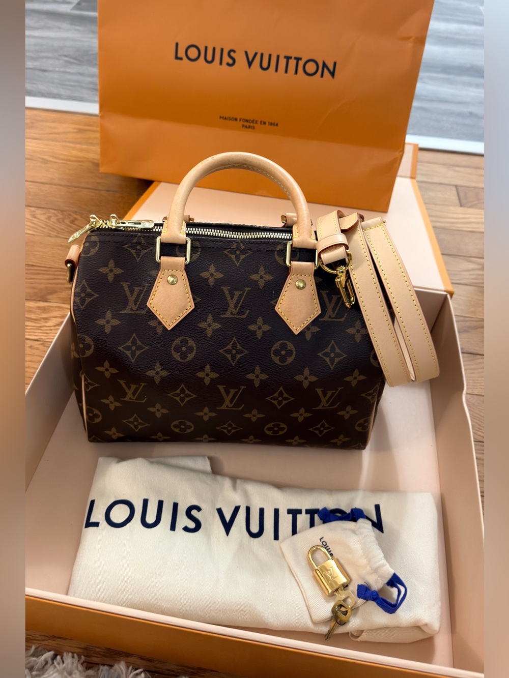 Louis Vuitton Monogram Canvas Speedy Bandoulière - 25